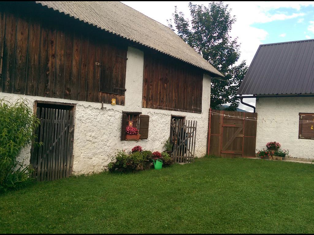 House Nada Apartamento Donji Babin Potok Exterior foto