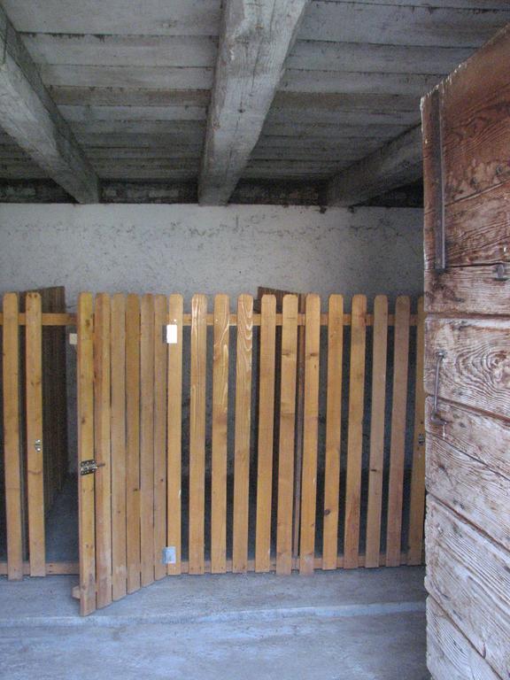 House Nada Apartamento Donji Babin Potok Exterior foto